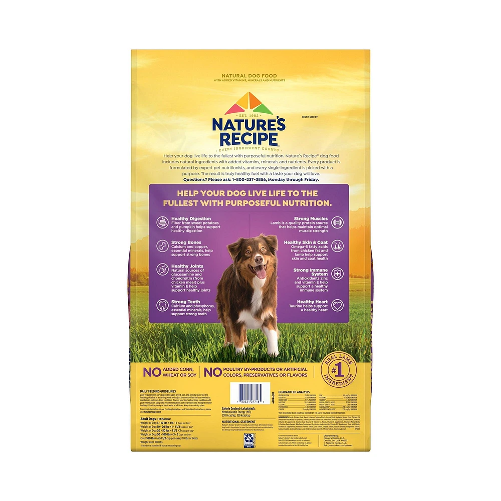 Nature's recipe healthy skin dry dog food best sale