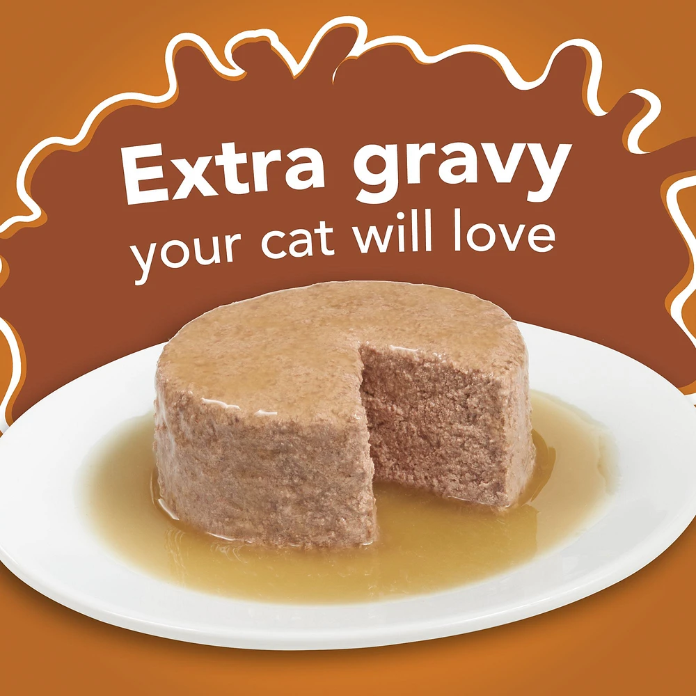 Friskies Purina Friskies Extra Gravy Adult Cat Wet Food 6.04