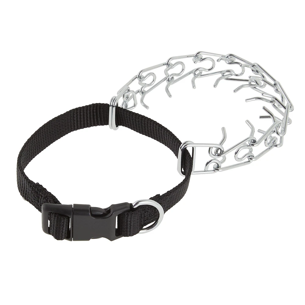 Petsmart shops dog training collars