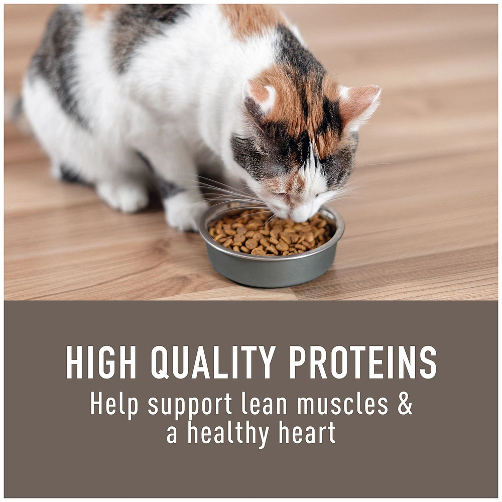 Simply Nourish Original Cat Dry Food Chicken Brown Rice