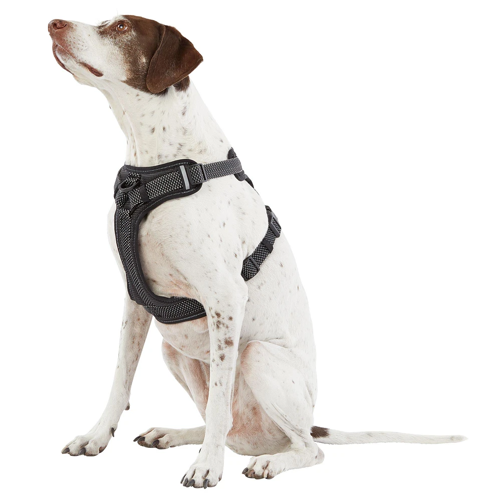 Large dog harness petsmart best sale