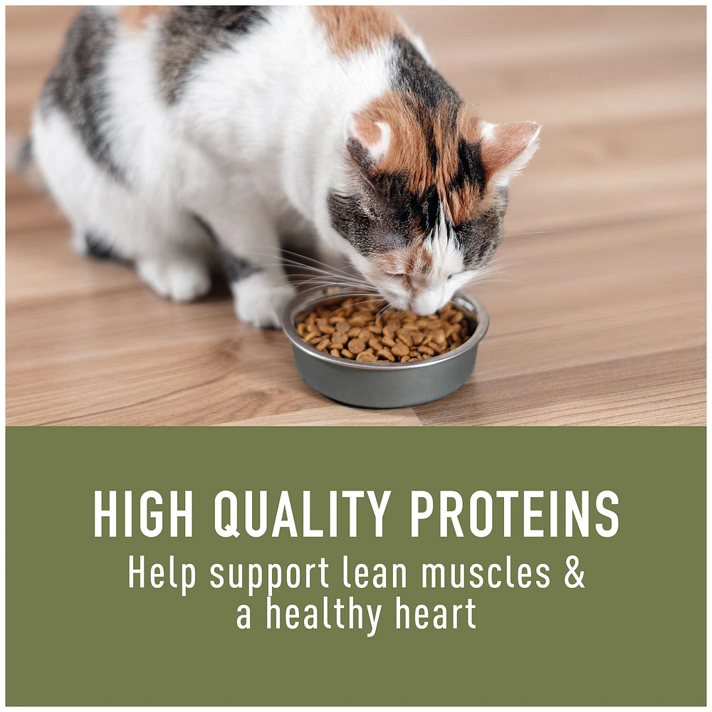 Simply Nourish Original Cat Dry Food Chicken Pea Natural