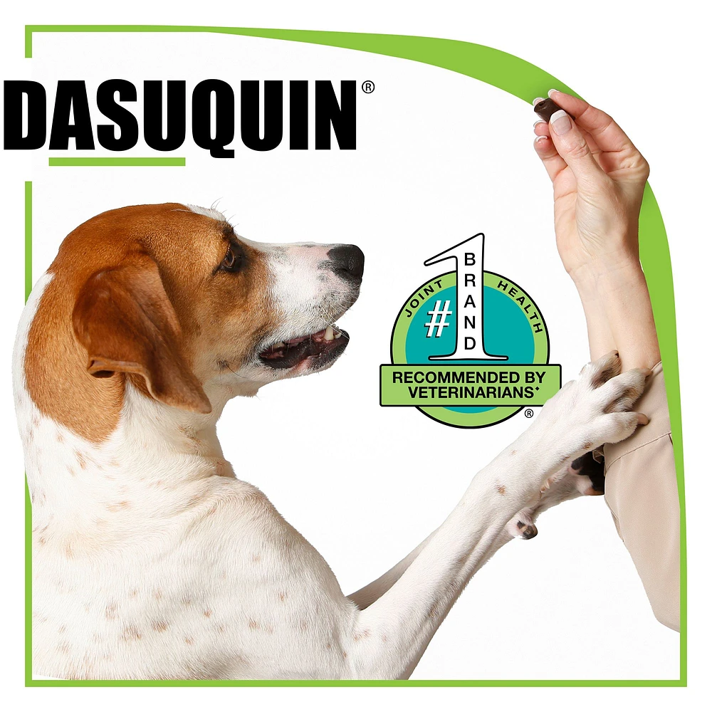 Nutramax dasuquin with msm soft chews joint health large dog supplement best sale