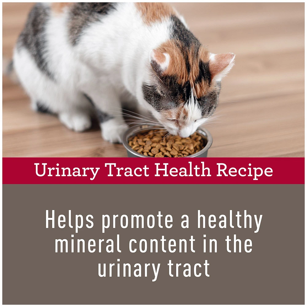 Simply Nourish Urinary Tract Health Cat Dry Food Chicken The