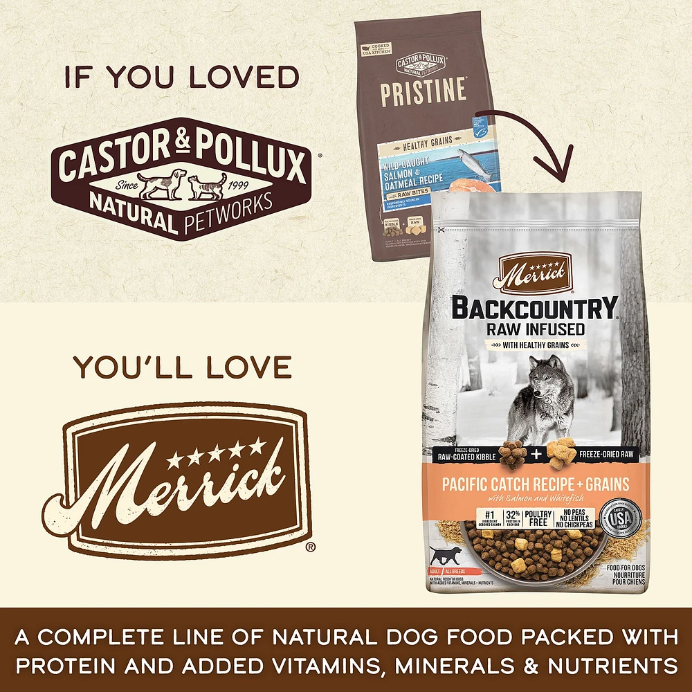 Castor Pollux Pristine Adult Dry Dog Food Salmon