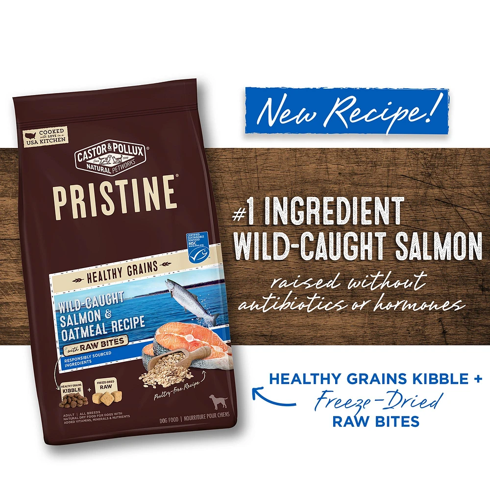 Castor Pollux Pristine Adult Dry Dog Food Salmon