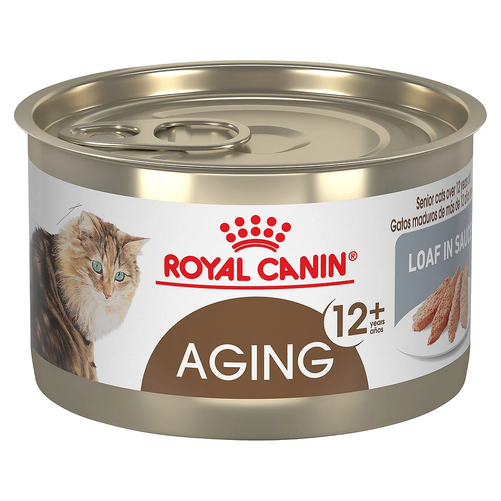 Royal Canin Feline Health Nutrition Aging 12 Loaf in Sauce Wet Cat Food 5.1 oz can