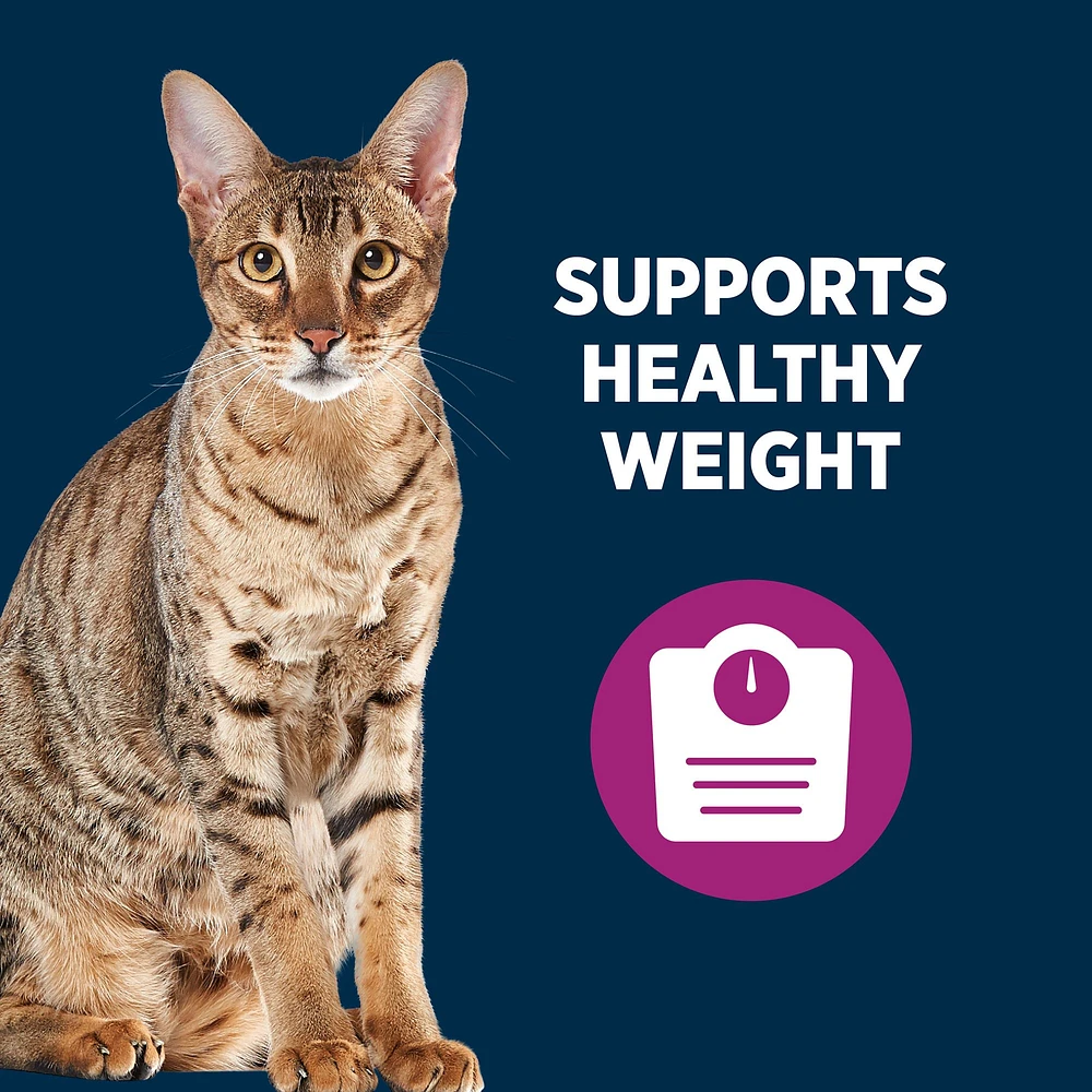 Authority weight management cat food hotsell