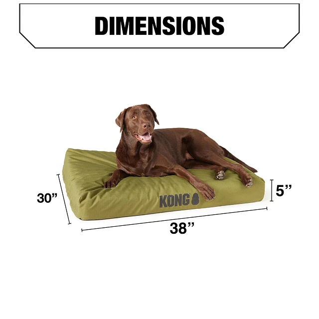 Kong bed best sale