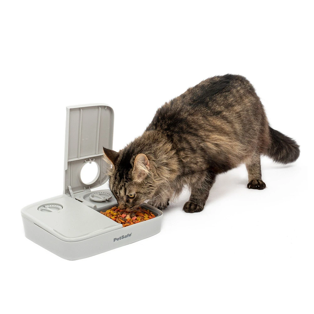 Automatic dog feeder petsmart hotsell