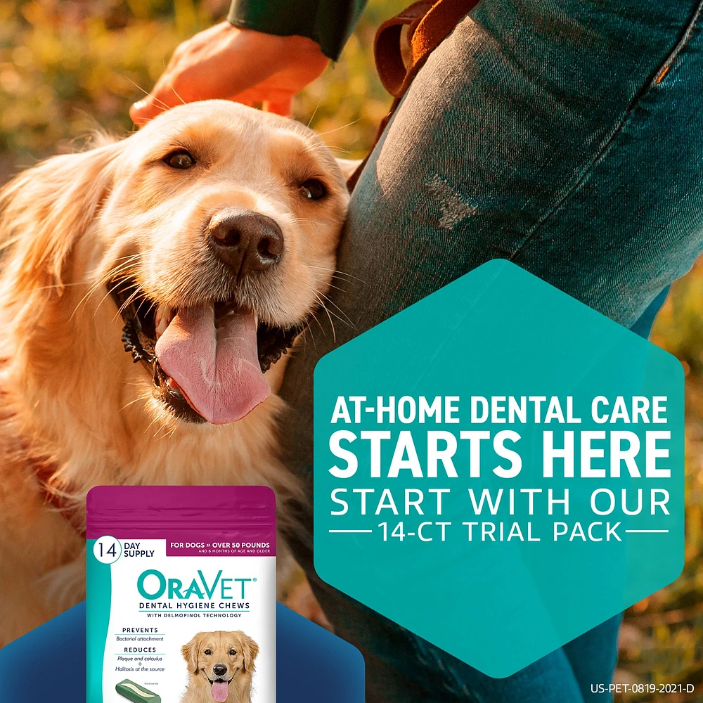 Oravet dental hygiene chews ingredients best sale