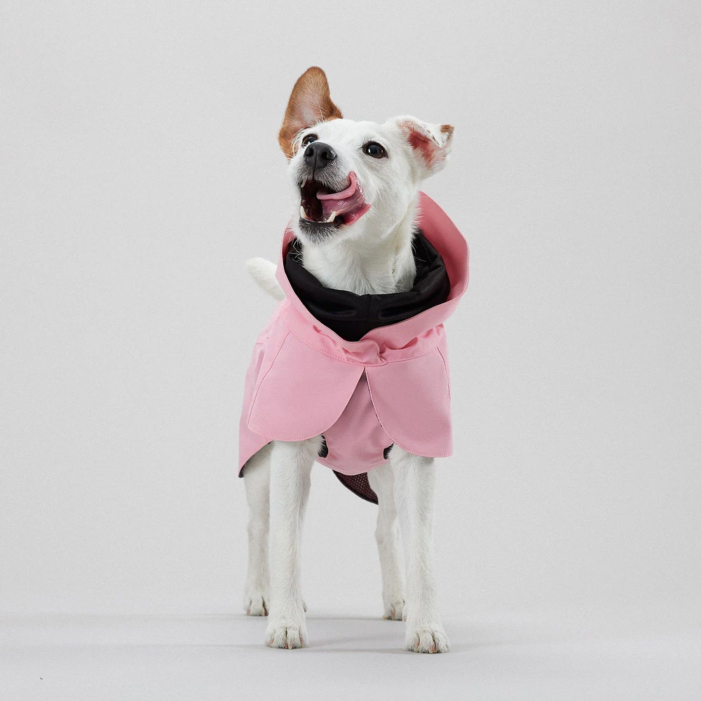 Dog raincoat petsmart best sale