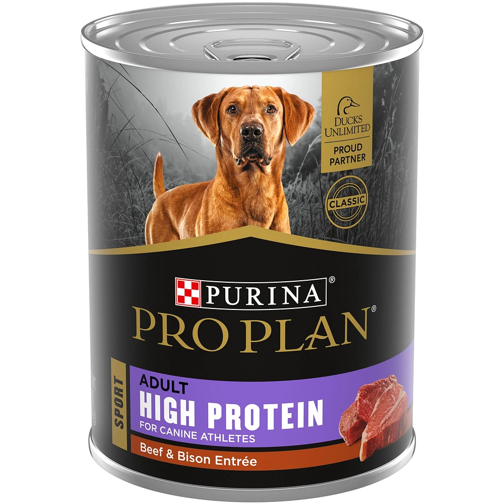 Beef meal high protein dog food best sale