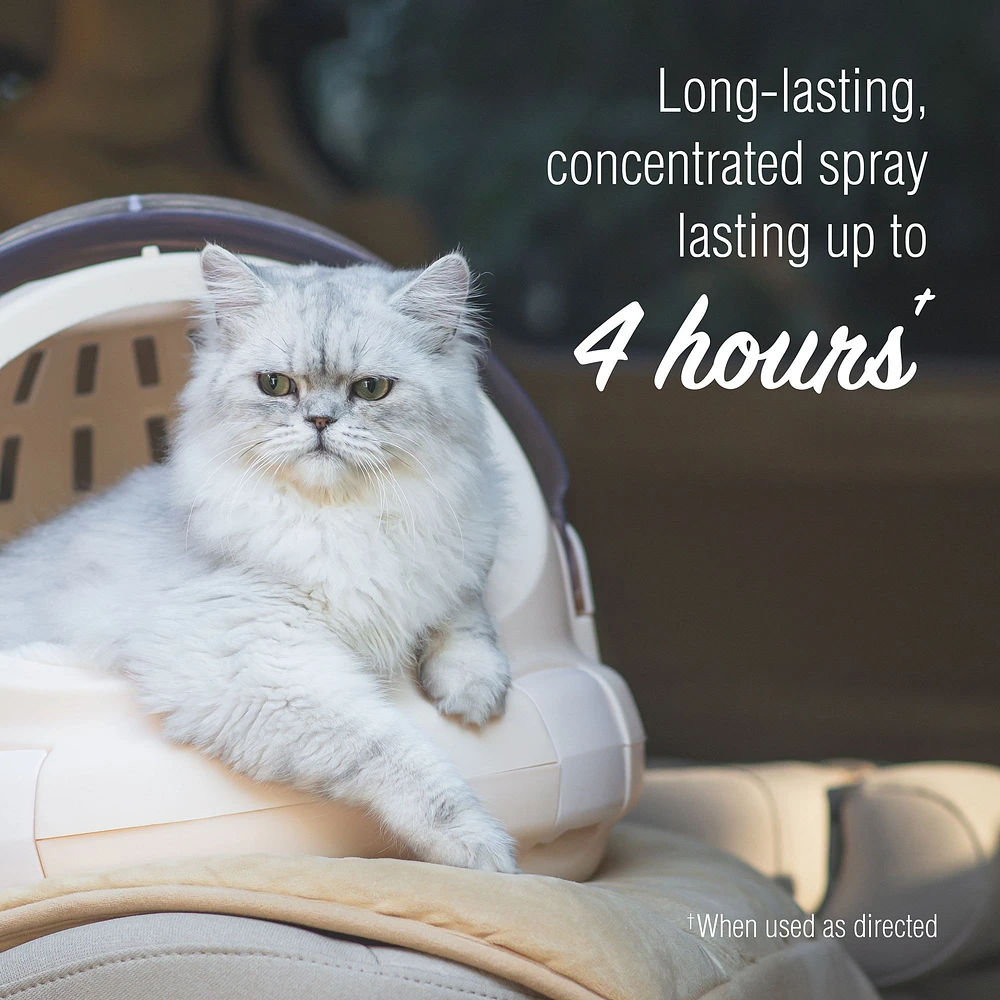 Nature's miracle calming spray cats best sale