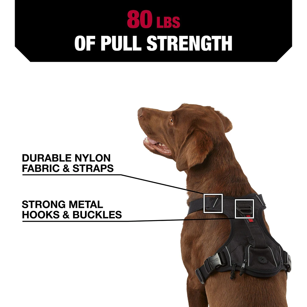 Full body dog harness petsmart best sale