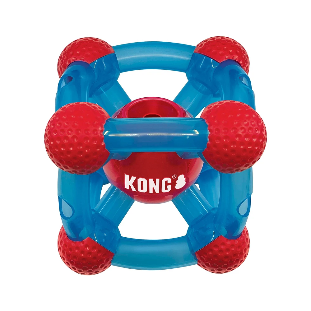 Kong petsmart best sale