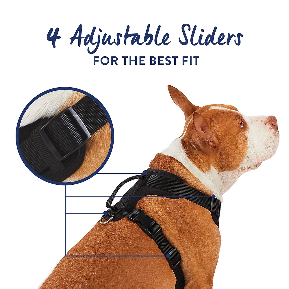 New fit harness top paw hotsell