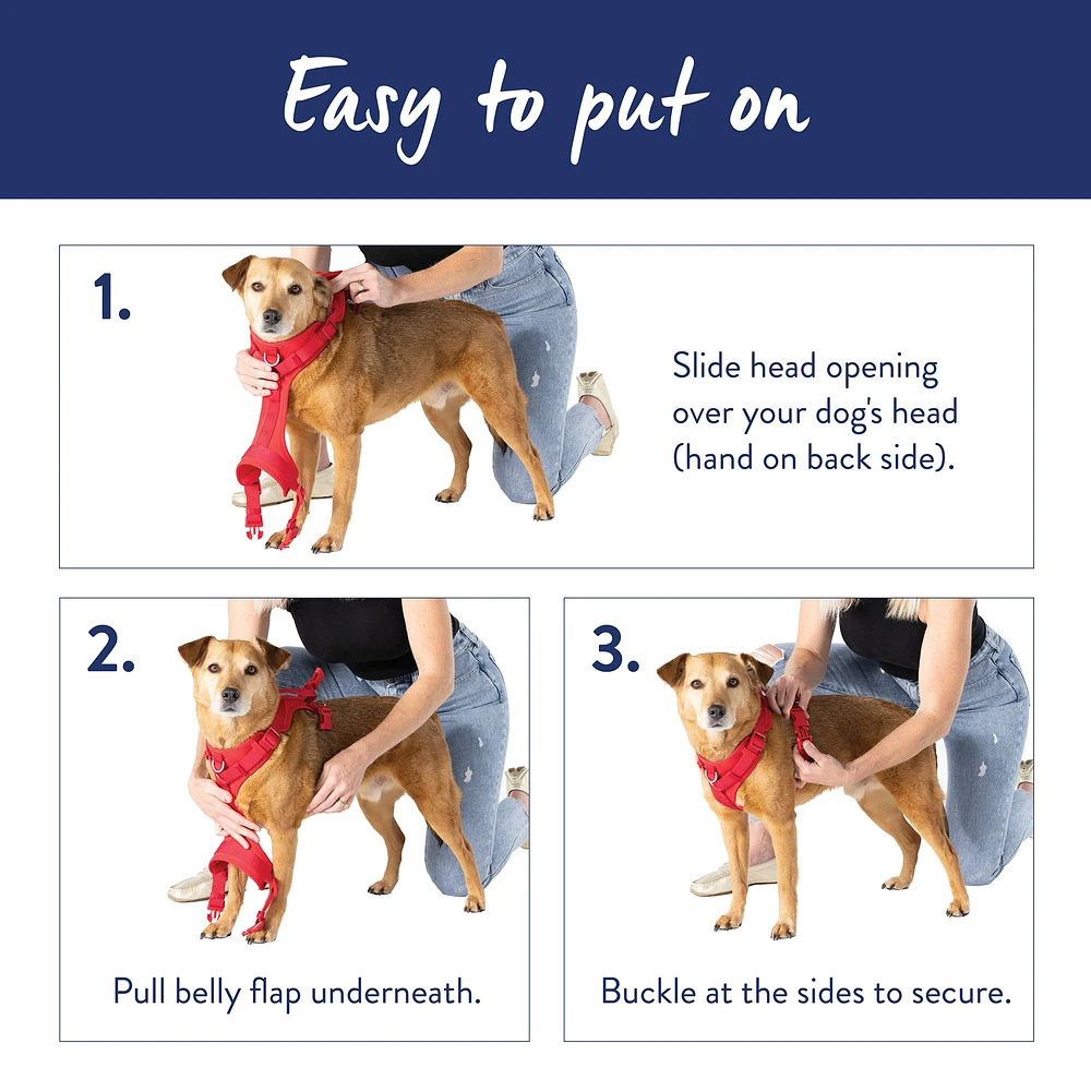 Paw easy fashion fit dog harness