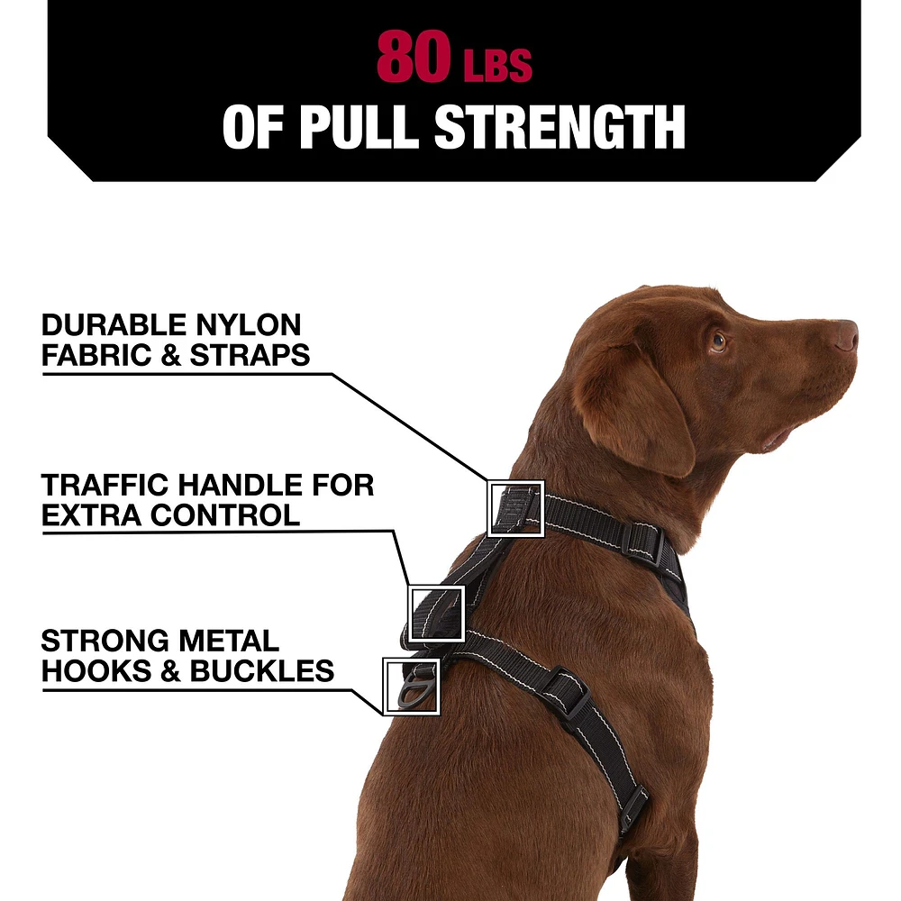 Kurgo dog harness petsmart hotsell