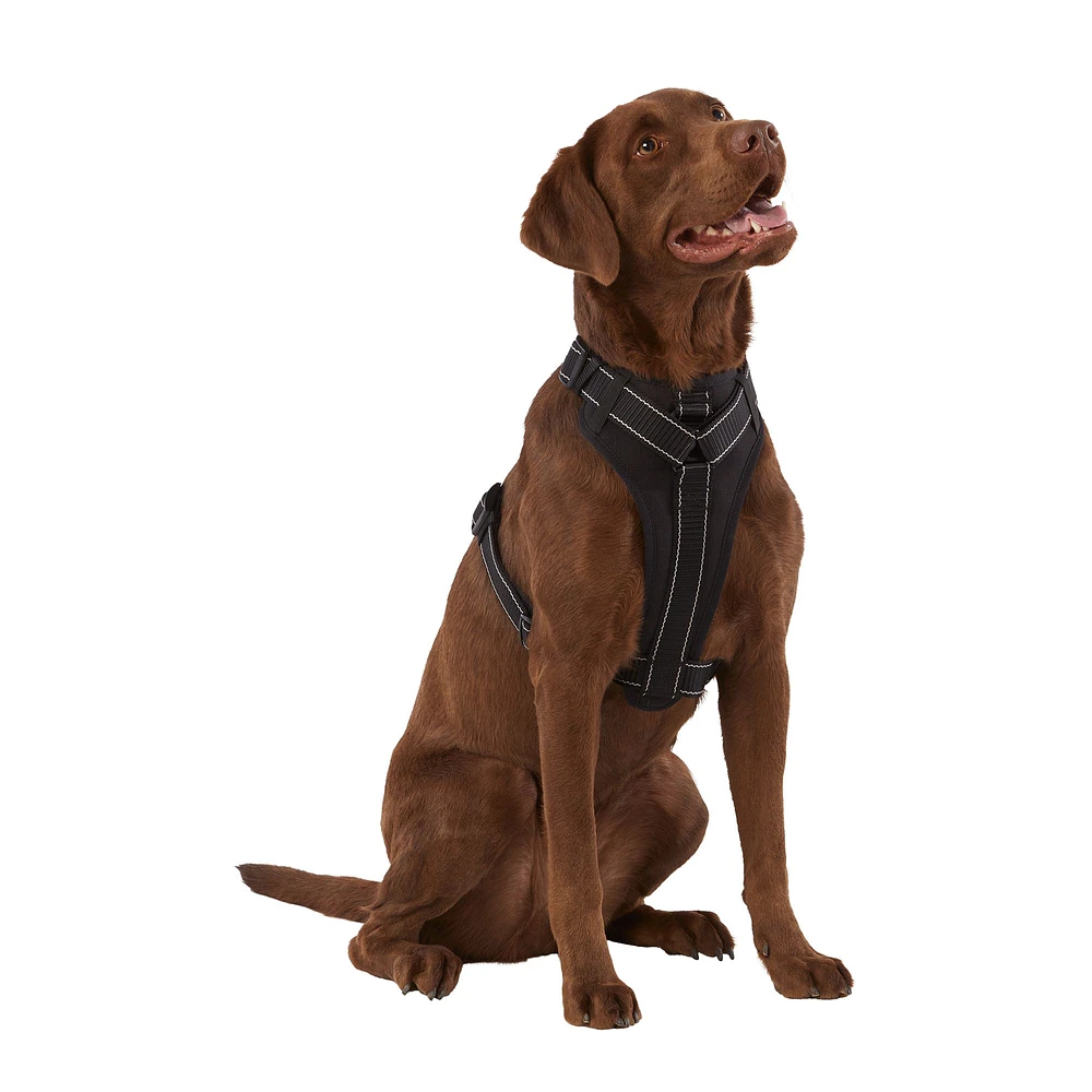 Large dog harness petsmart hotsell