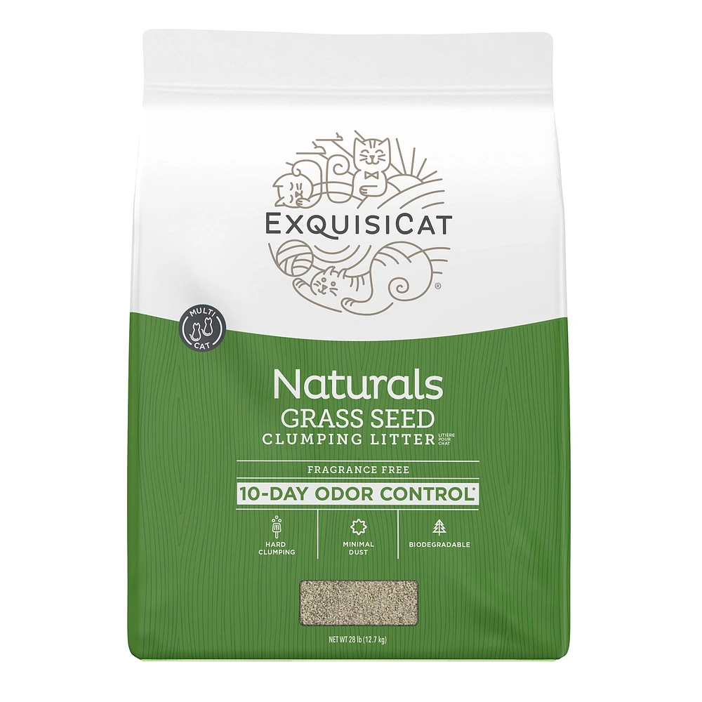 Exquisicat clumping micro crystals best sale