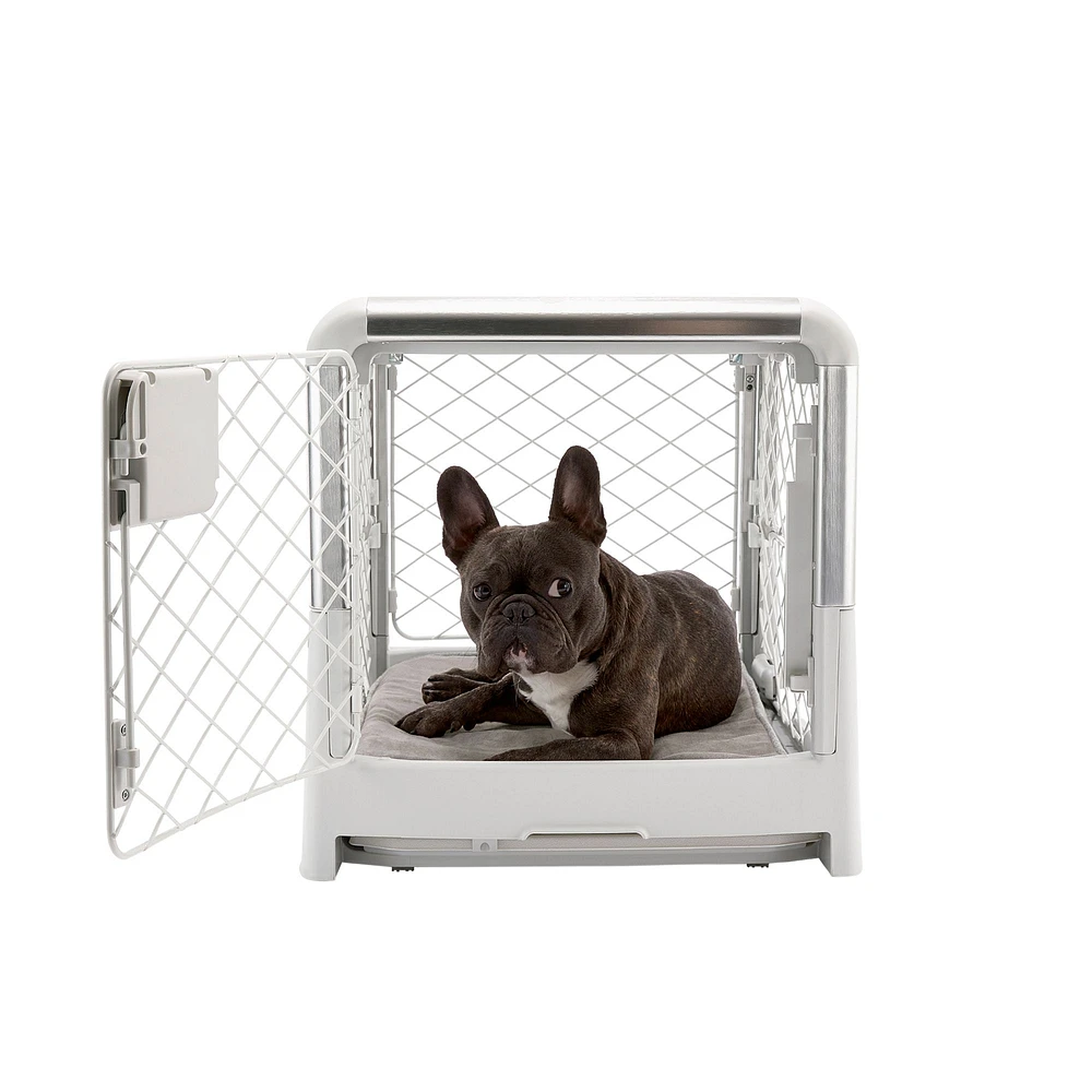 Large crate petsmart best sale