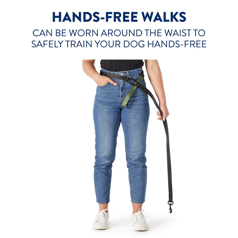 Hands free dog leash petsmart hotsell