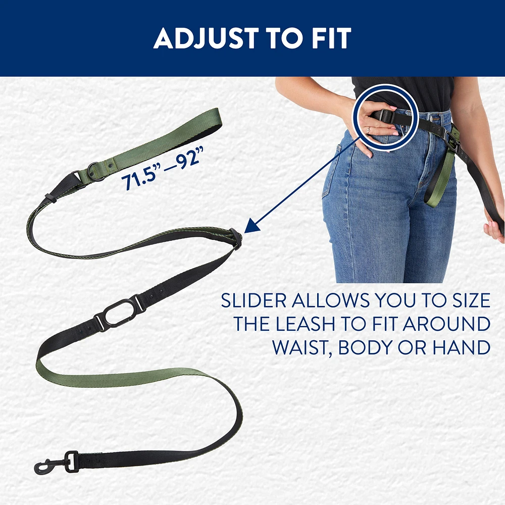 Hands free dog leash petsmart best sale