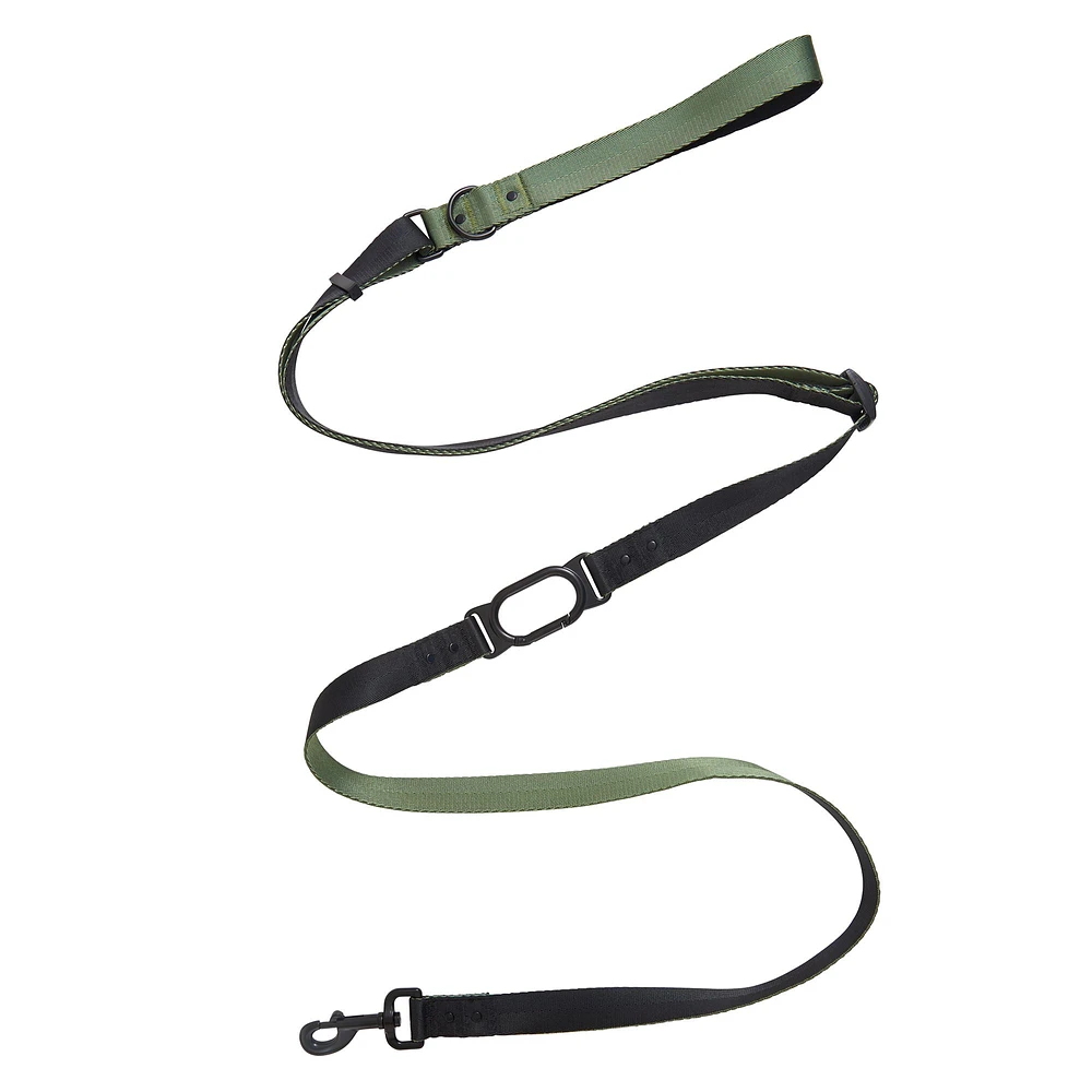 Hands free dog leash petsmart best sale