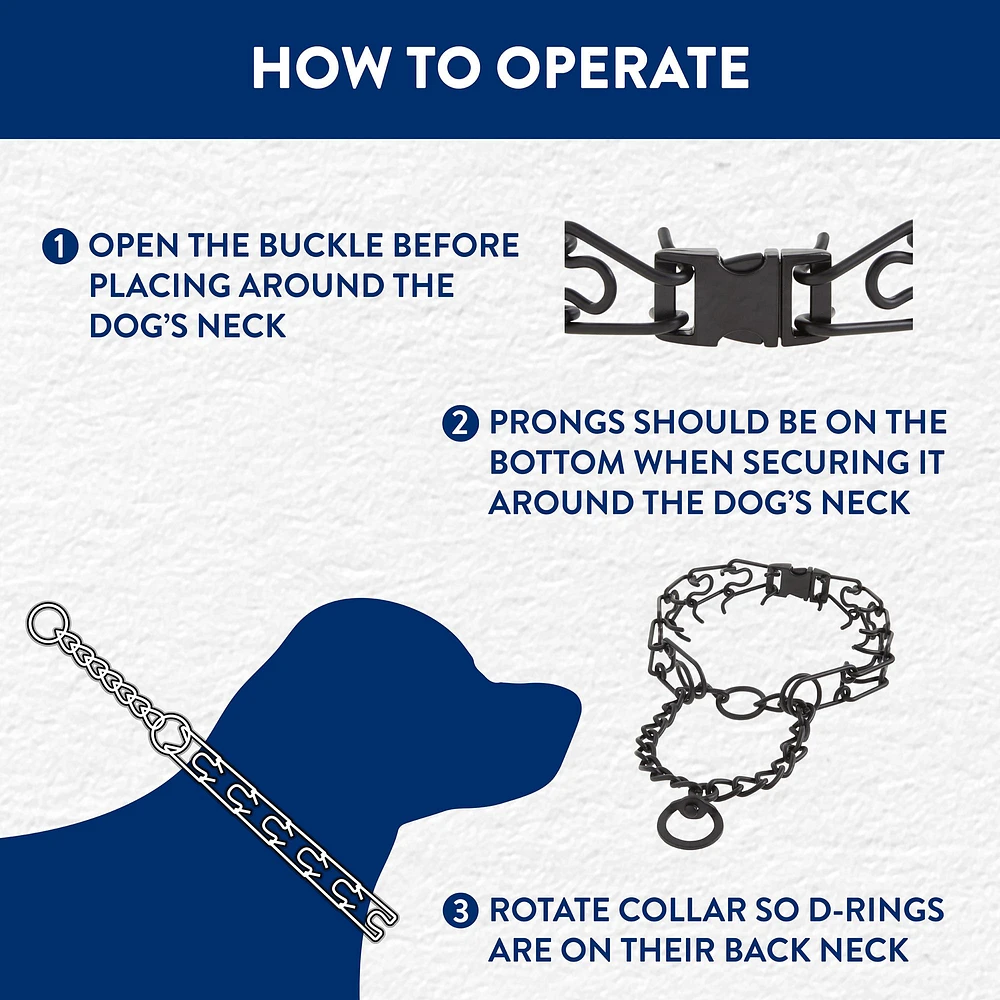 Petsmart prong collar best sale