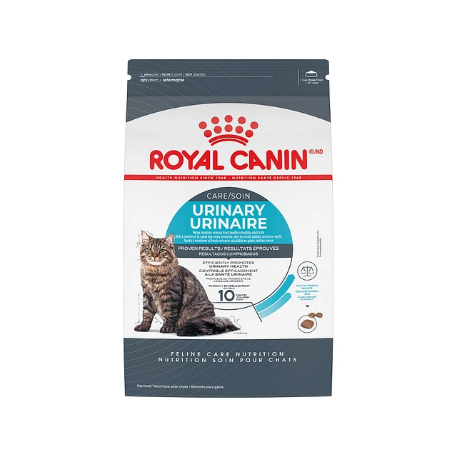 Royal Canin American Shorthair Adult Cat Food 5.5LB The Market Place