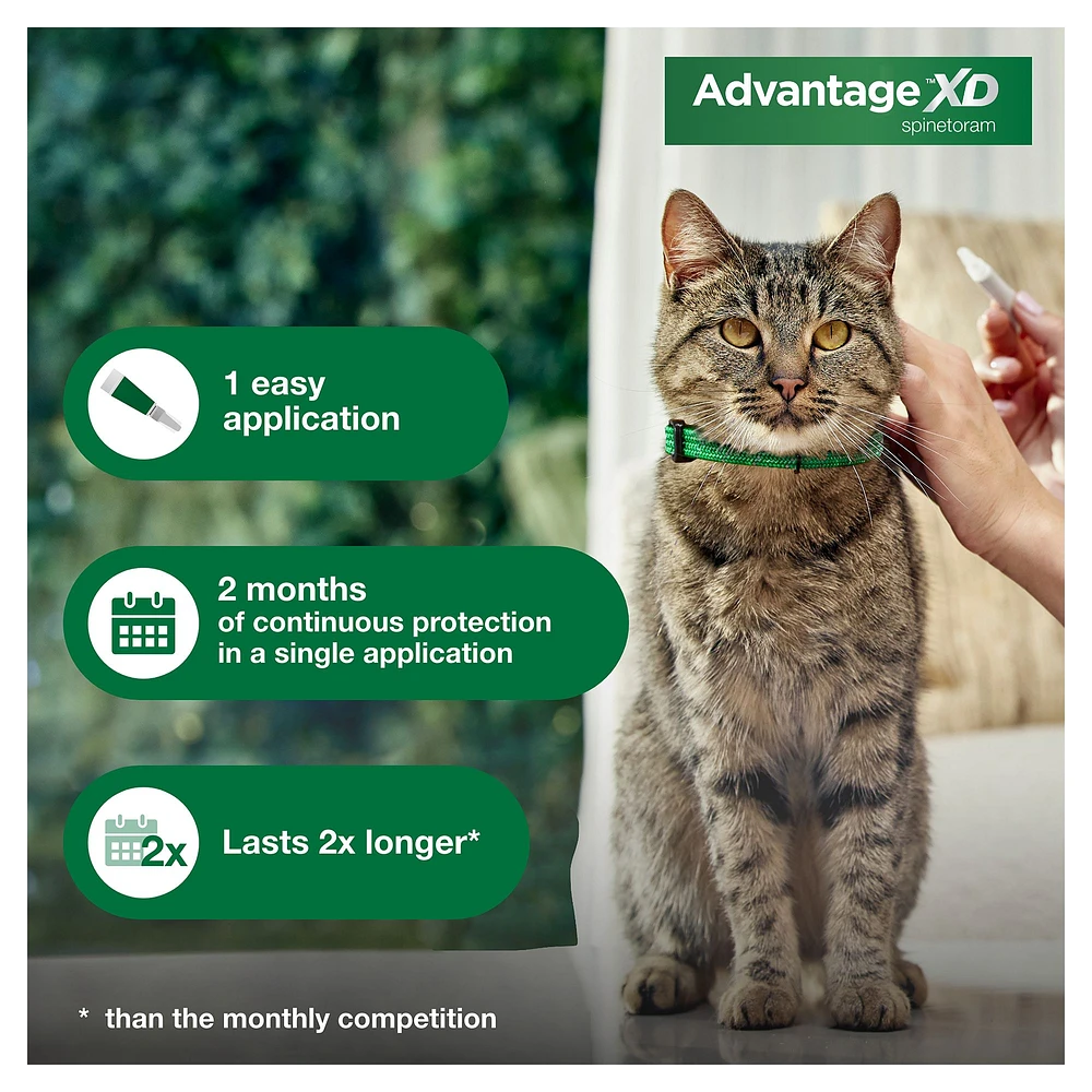 Advantage ii for cats petsmart best sale