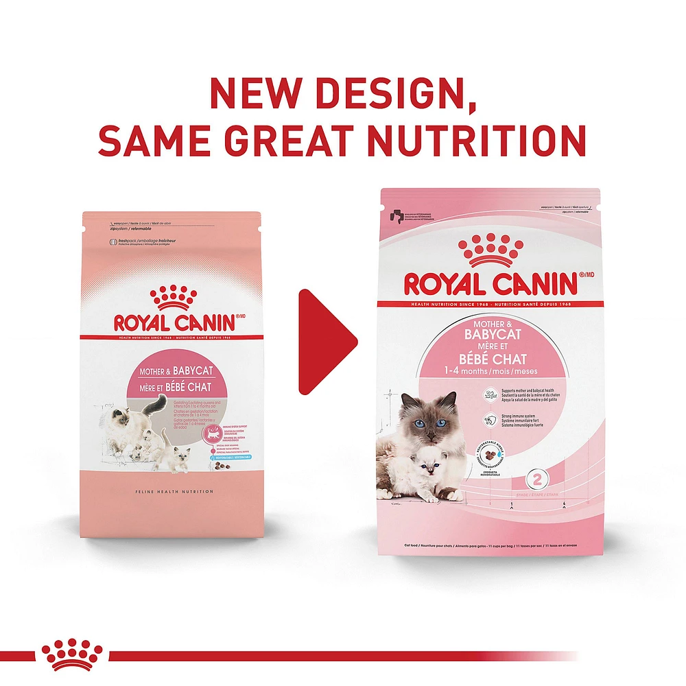 Petsmart royal canin kitten hotsell