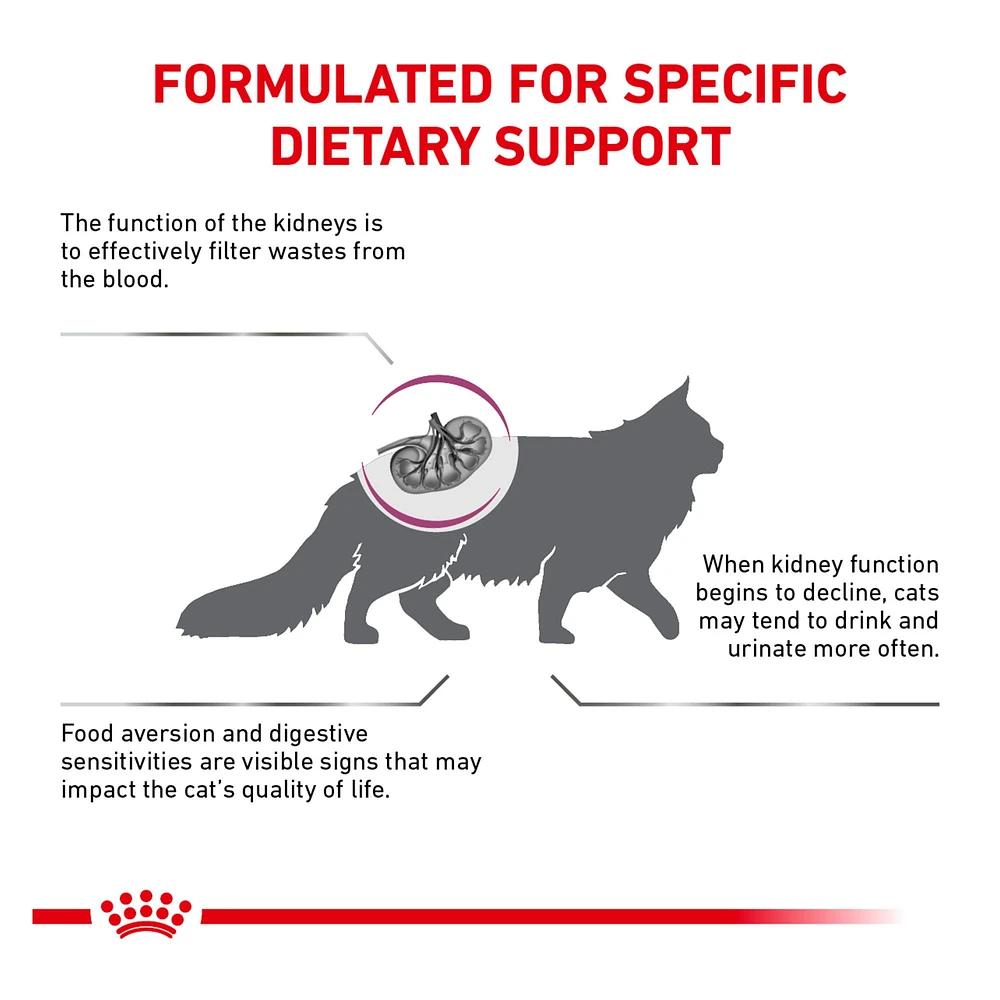 Royal Canin Veterinary Diet Feline Renal Support S Adult Dry Cat