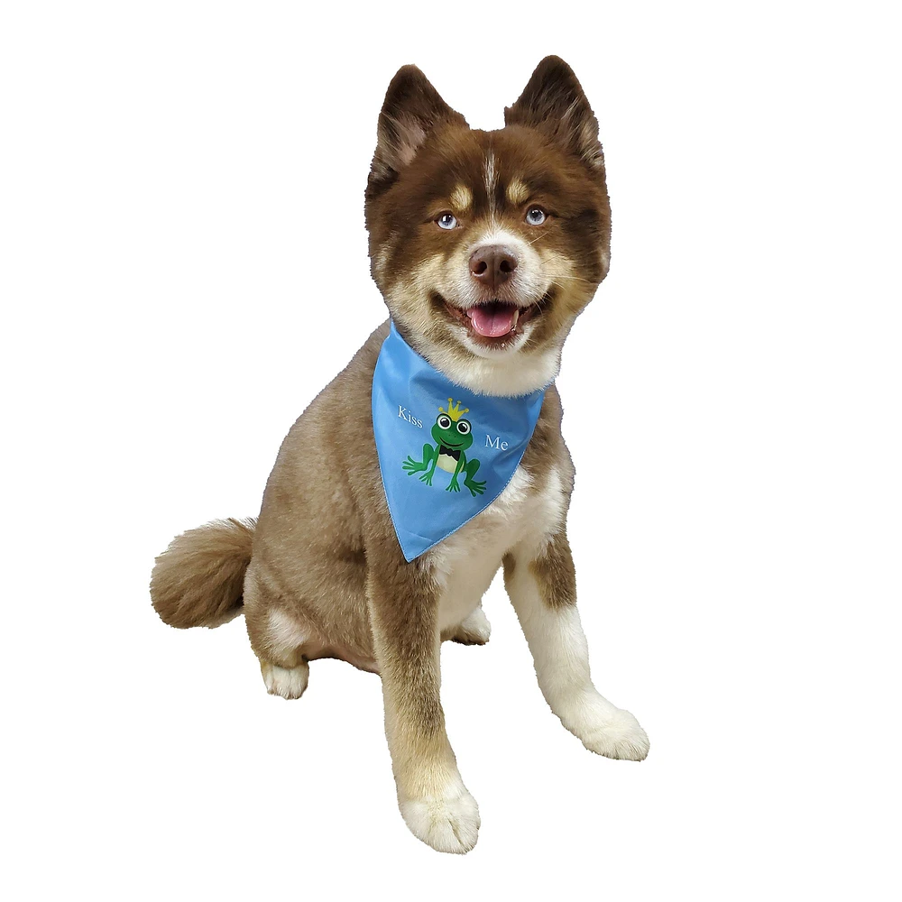 Petsmart birthday bandana hotsell