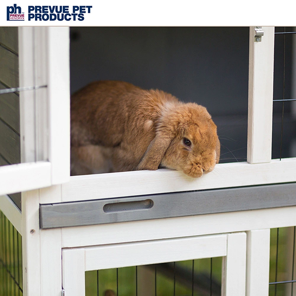 Prevue rabbit hutch best sale