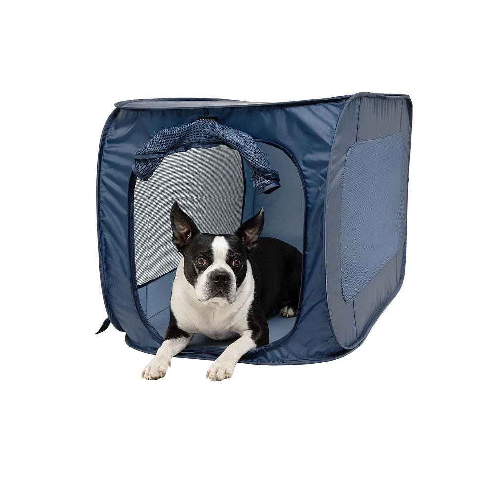 Large dog crate at petsmart best sale