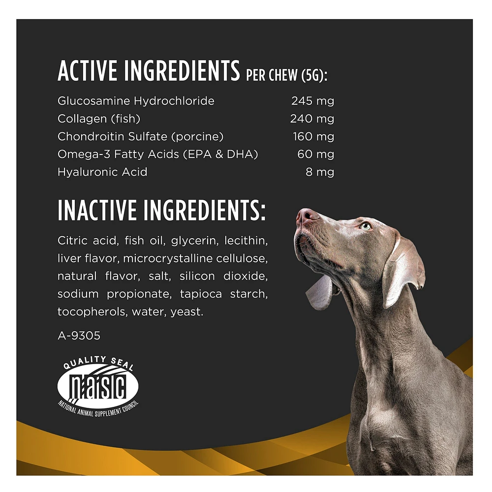 Joint supplements for dogs petsmart best sale