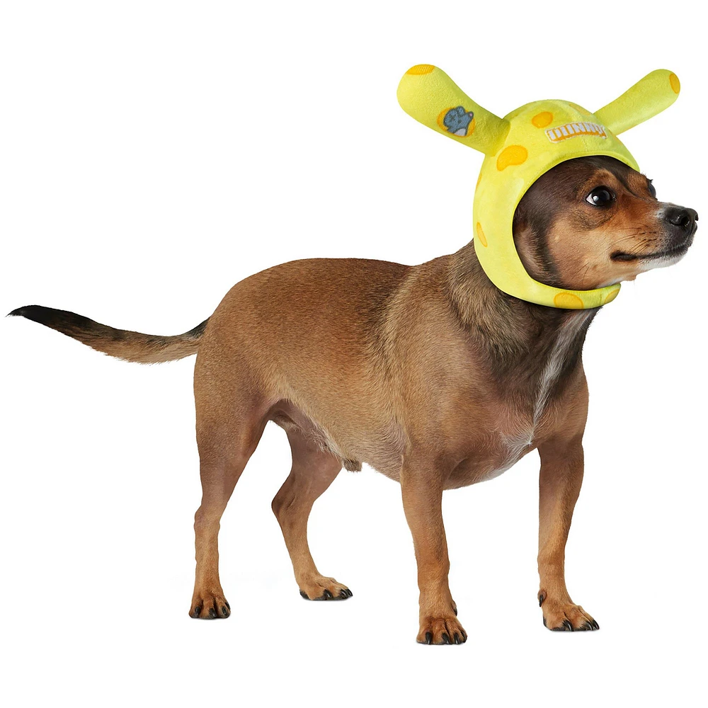 Cheesehead hat for dogs hotsell