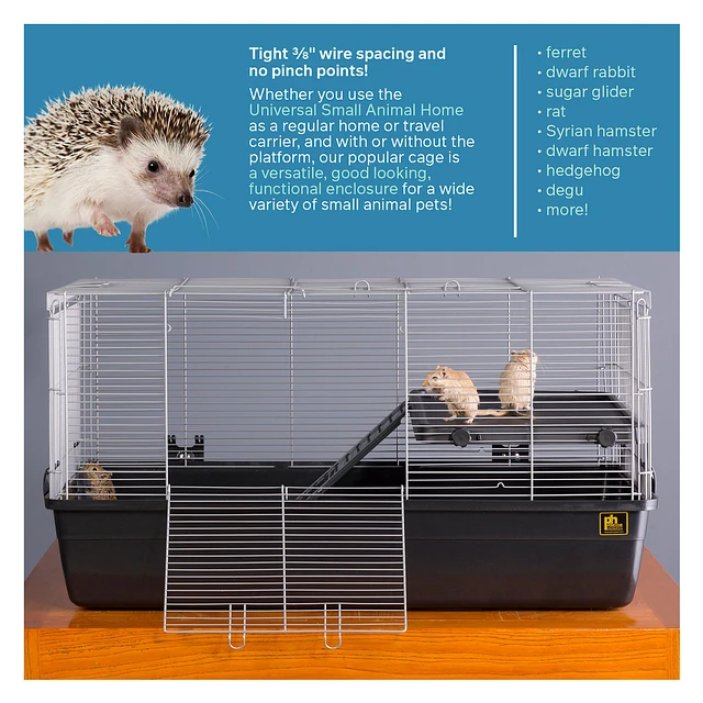 Hamster carrier petsmart best sale