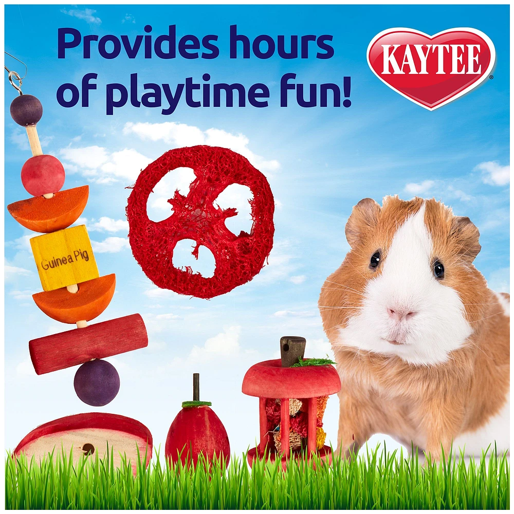 Guinea pig accessories petsmart best sale