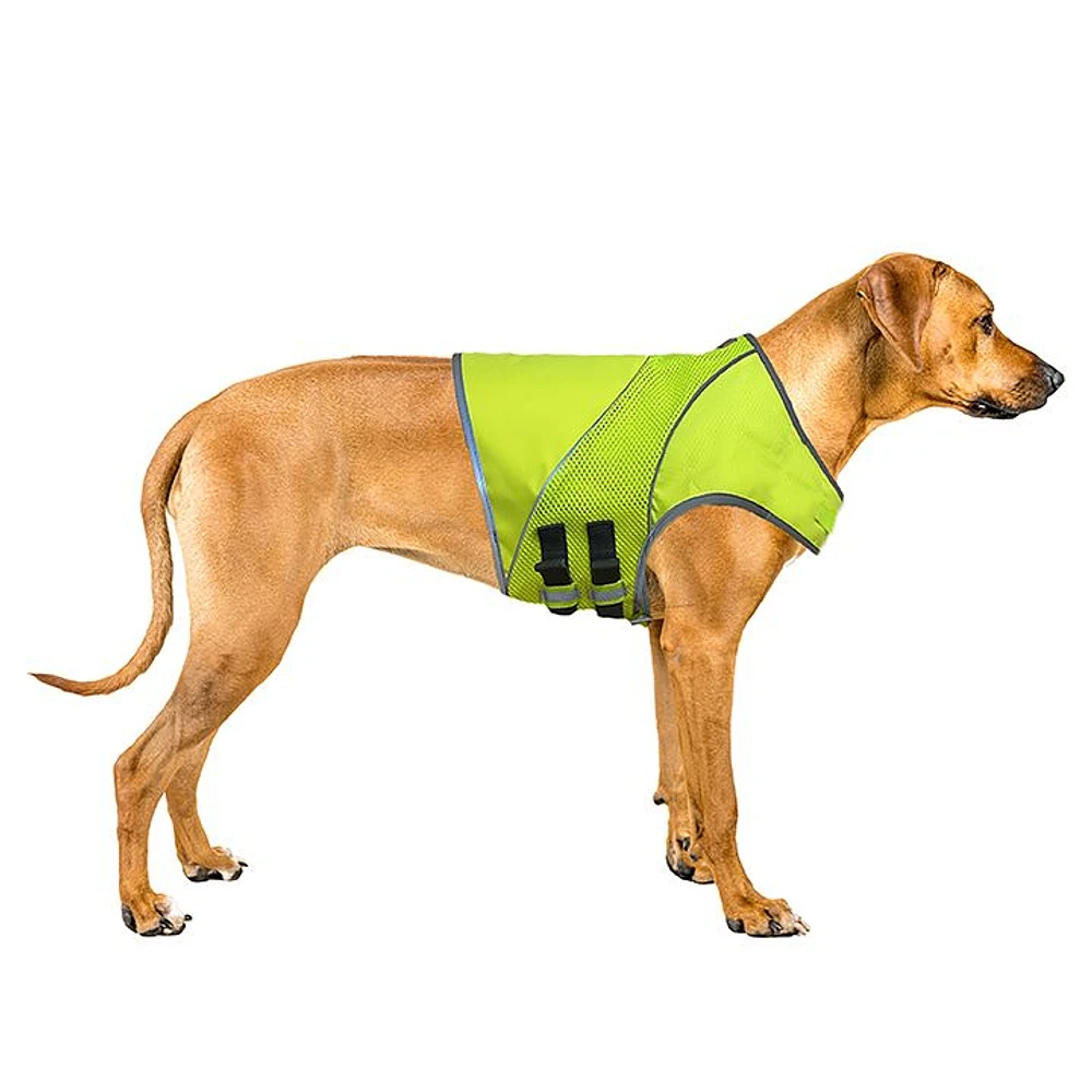 Dog life vest petsmart best sale