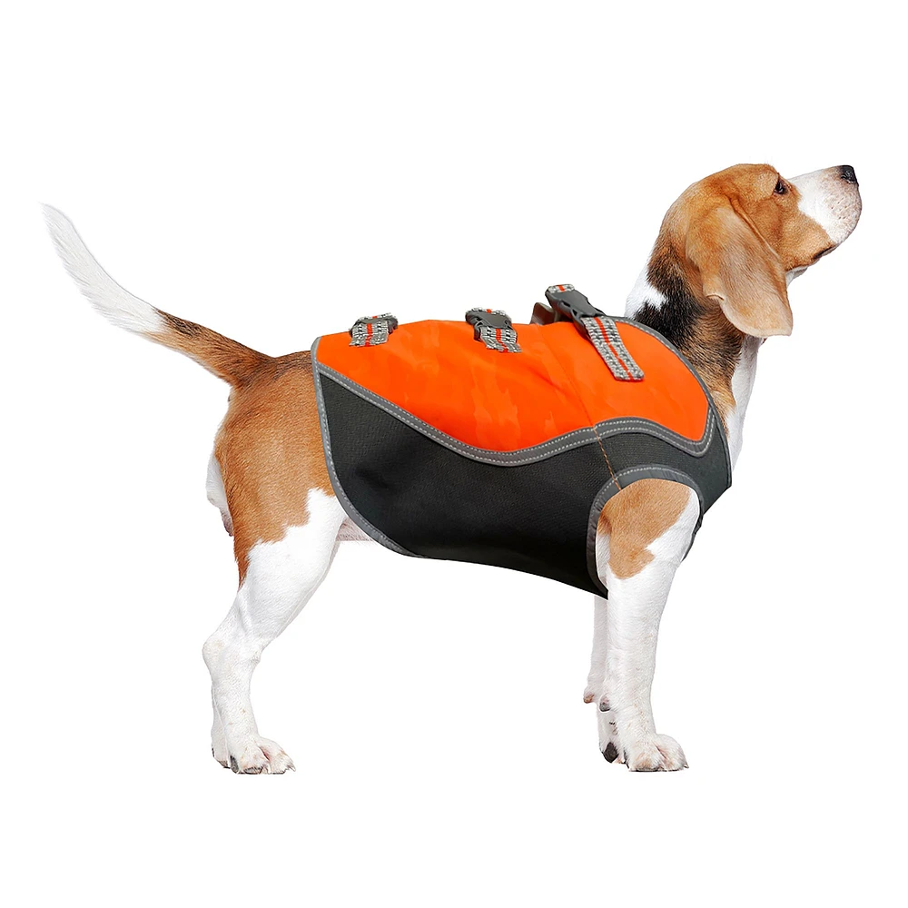 Emotional support dog vest petsmart best sale