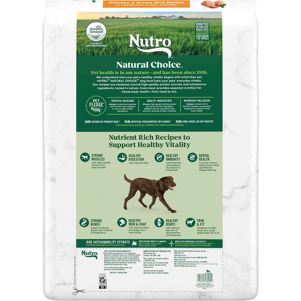 Best non gmo dog food best sale