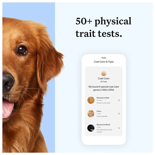 Dog dna kit petsmart fashion