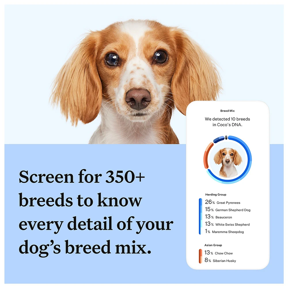 Wisdom mixed breed dna test hotsell