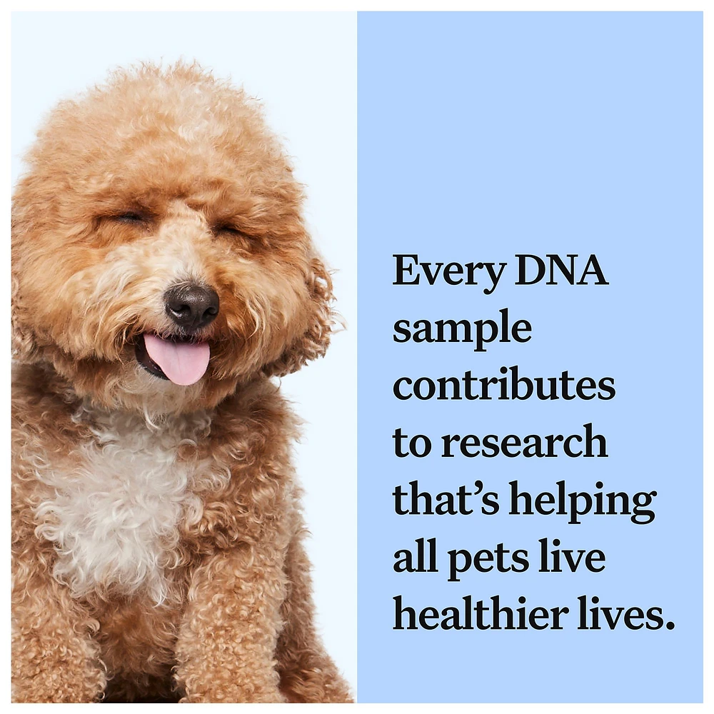 Dog dna kit petsmart best sale