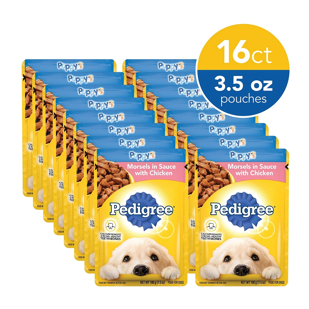 Pedigree puppy best sale