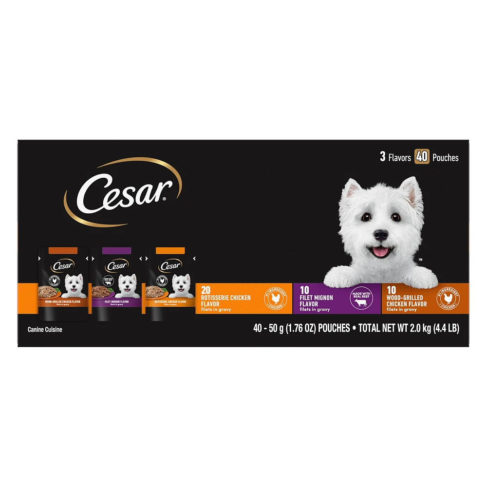 CESAR Filets in Gravy Wet Dog Food Variety Pack Mini Pouch 40