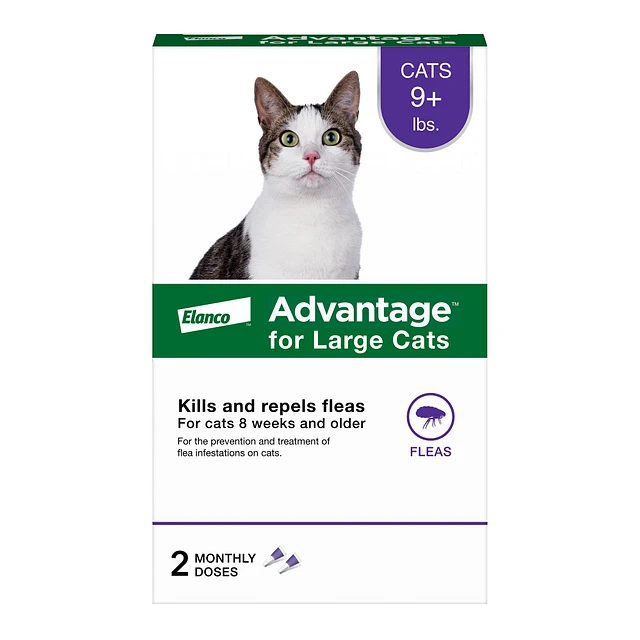 Petsmart fashion advantage cats